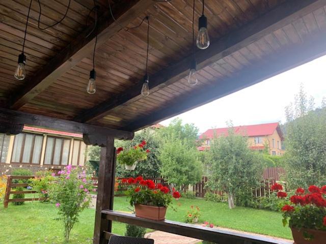 Vila Rolizo Brașov Exterior foto