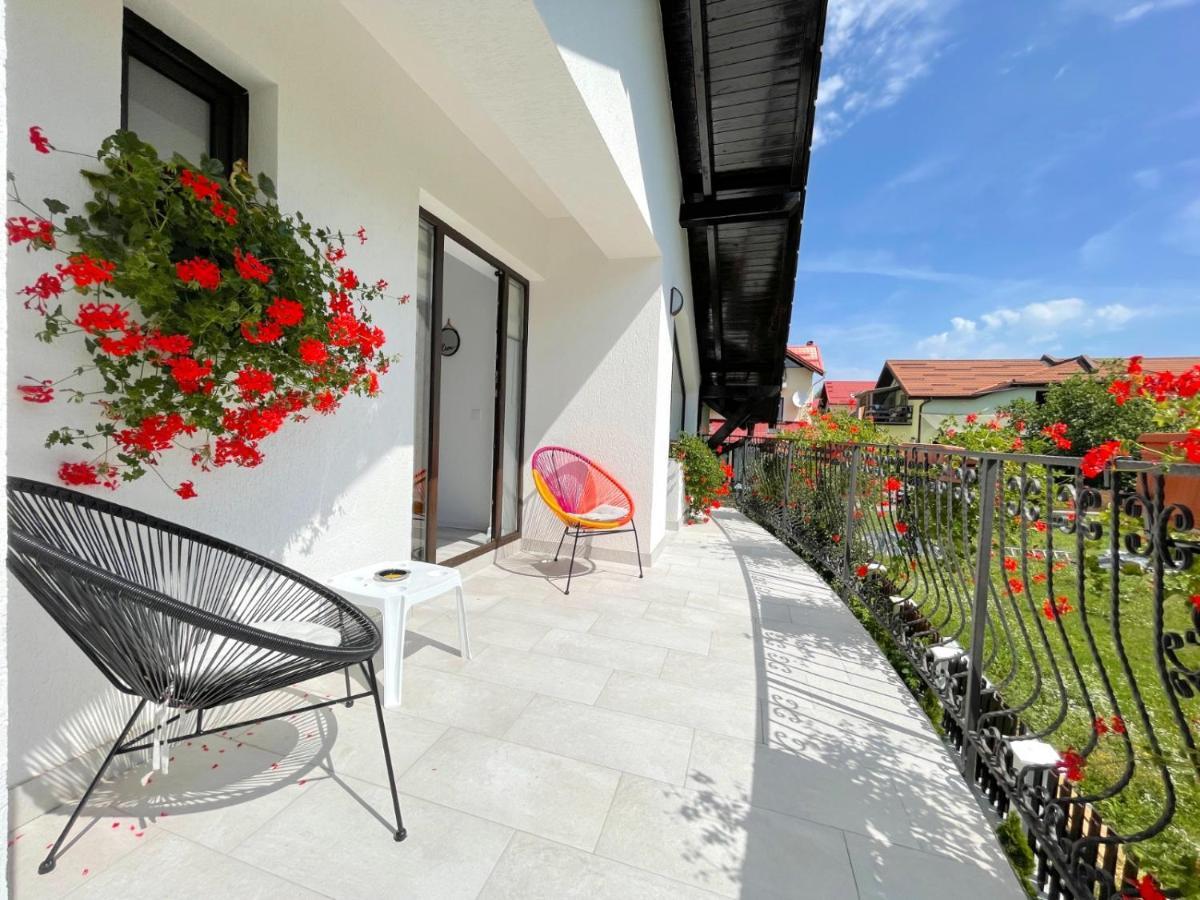 Vila Rolizo Brașov Exterior foto